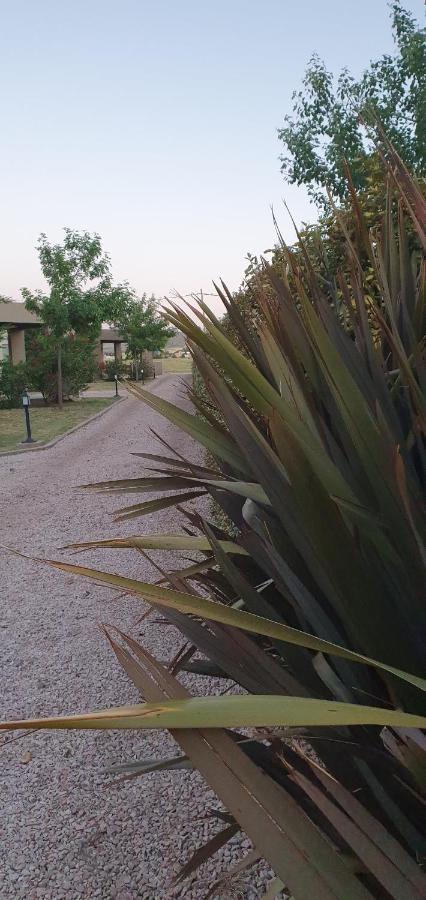 Alto San Andres Bed & Breakfast San Andres de las Sierras Екстериор снимка